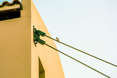 Low angle view of bird perching on power line