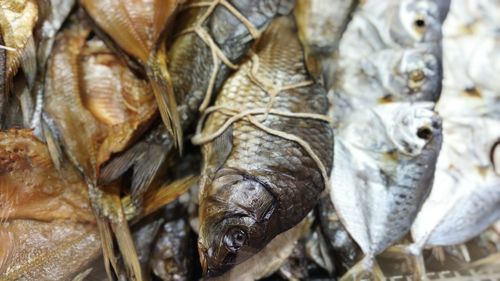 Close-up of fish for sale in market