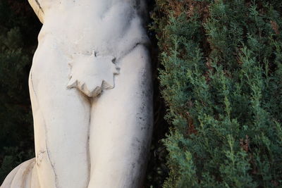 Close-up of male statue by plant in park