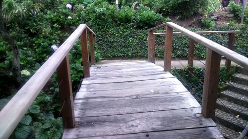 View of stairs along plants