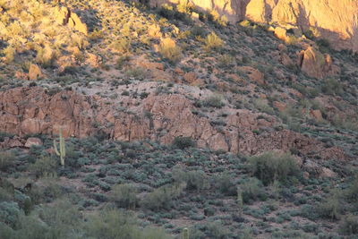 Rocks on rock formation