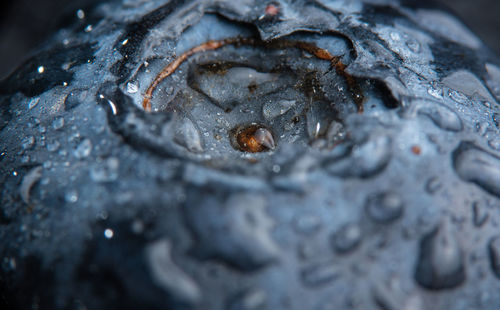 Full frame shot of raindrops on ice
