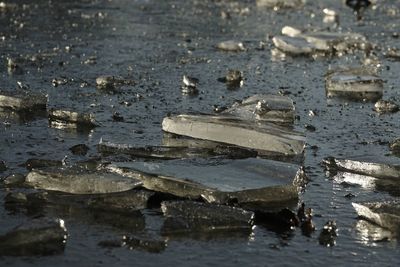 High angle view of wet shore