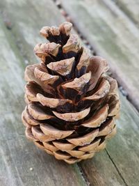 Close-up of pine cone on table