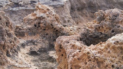 Close-up of a rock