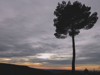Silhouette tree against sky during sunset
