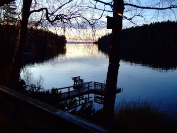 Reflection of trees in calm lake