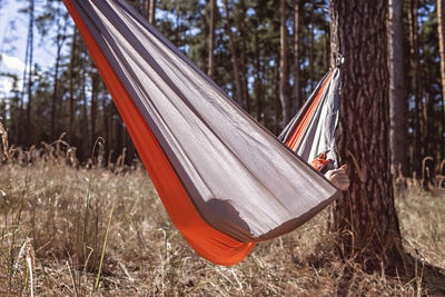 Close-up of empty swing hanging on tree trunk