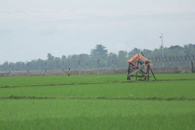 Man working on agricultural field