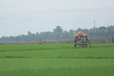 Man working on agricultural field