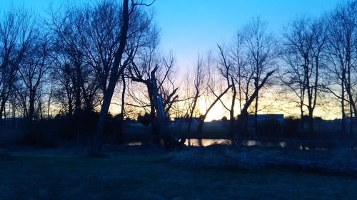 Silhouette bare trees on field against clear blue sky