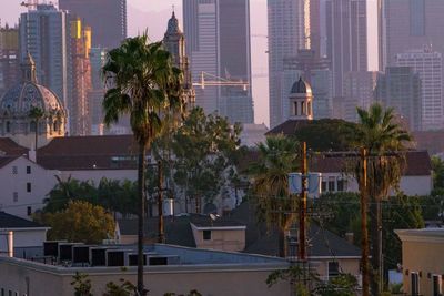 Palm trees and skyscrapers in city against sky