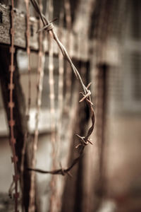 Close-up of barbed wire