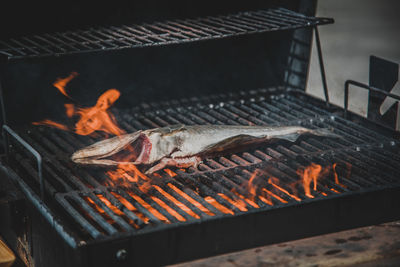 Fish on barbecue grill