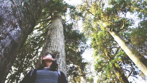 Low angle view of man amidst trees in forest