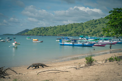 Boats moored on sea against sky