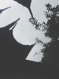 low angle view