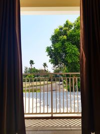 Trees seen through balcony