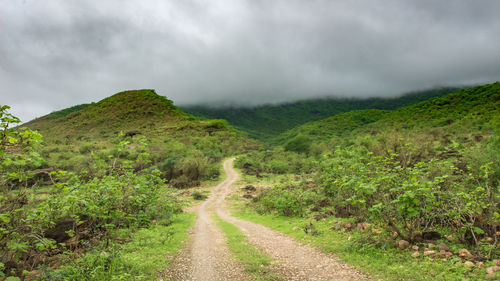 Road amidst green landscape against sky