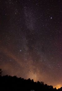 Low angle view of silhouette trees against sky at night