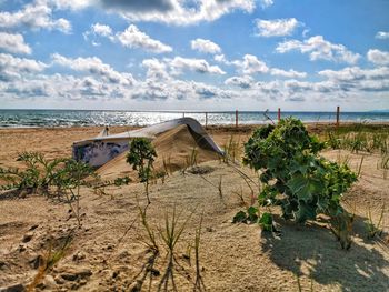 Plants growing on beach against sky