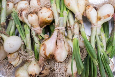 Close-up of scallions for sale