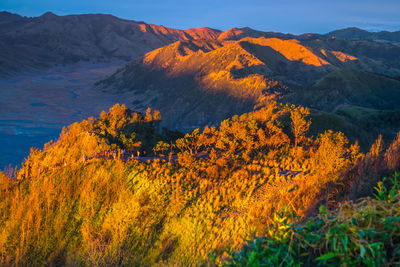 Scenic view of autumn mountain against sky