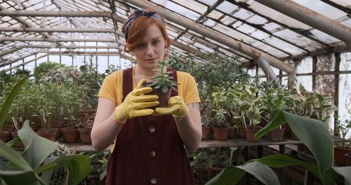 Young female gardener holding a succulent plant