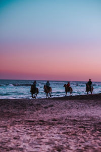 Silhouette people riding horses at beach against clear sky during sunset