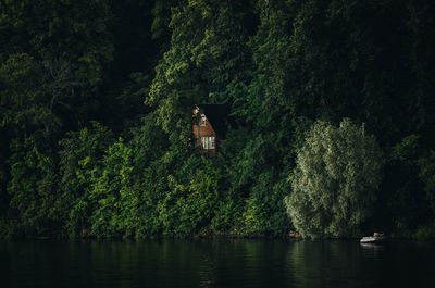 Scenic view of lake in forest