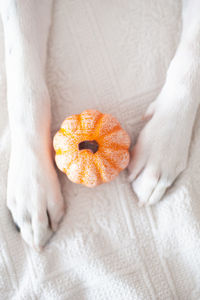 Close-up of hand holding orange