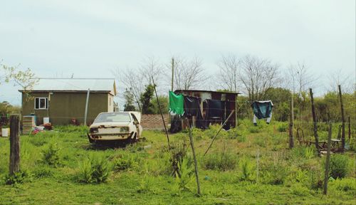 Vintage car on grass against trees