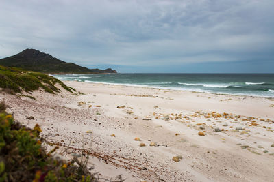 Scenic view of beach against sky