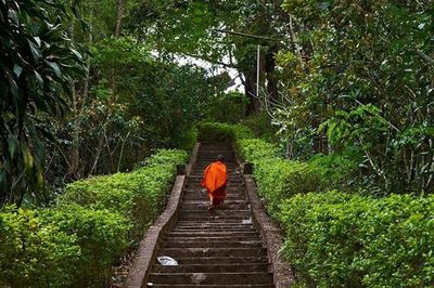 Woman walking on road in forest