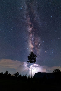 Low angle view of silhouette trees against sky at night