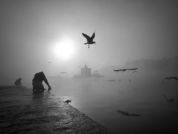 Silhouette birds flying over sea against sky