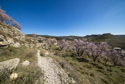 Panoramic view of landscape against clear blue sky