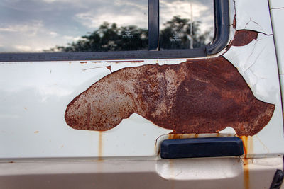 Close-up of food on glass window