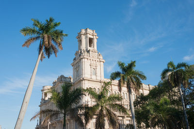 Low angle view of palm trees against blue sky