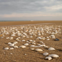 Close-up of pebbles on beach against sky