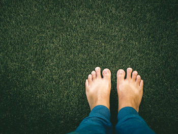 Low section of person standing on grass