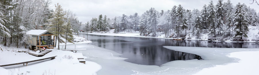 Frozen lake by trees during winter