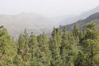 Panoramic view of trees and mountains against sky