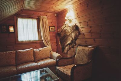 Cat sitting in a house