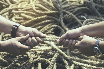 Cropped hands of people pulling rope