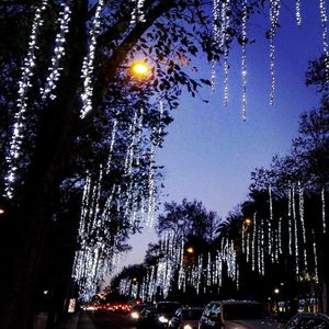 Low angle view of illuminated trees against sky at night