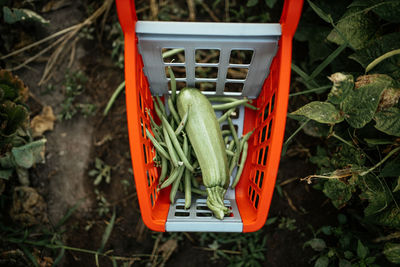 High angle view of vegetables on shopping cart