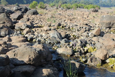 Rocks by river