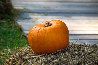 Close-up of pumpkins on field