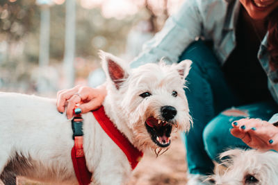 Midsection of woman with dog